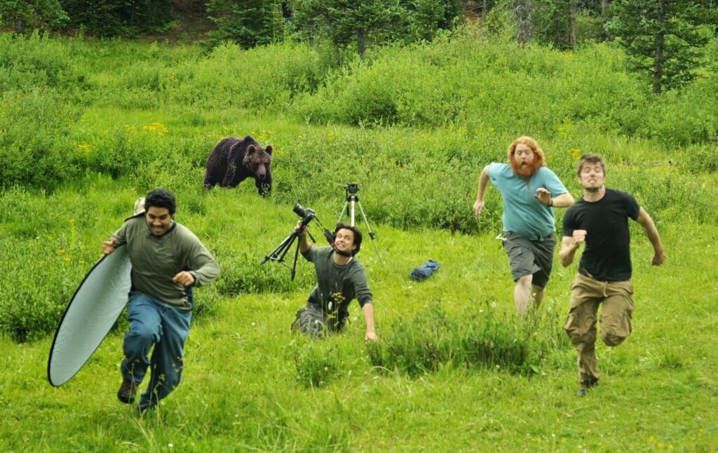 bear chasing people